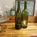 Mix and Match - Wine Bottle Candle and Terrarium Pairs