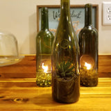 Wine Bottle Terrarium