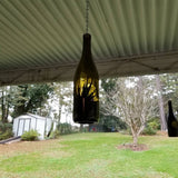 Wine Bottle Terrarium